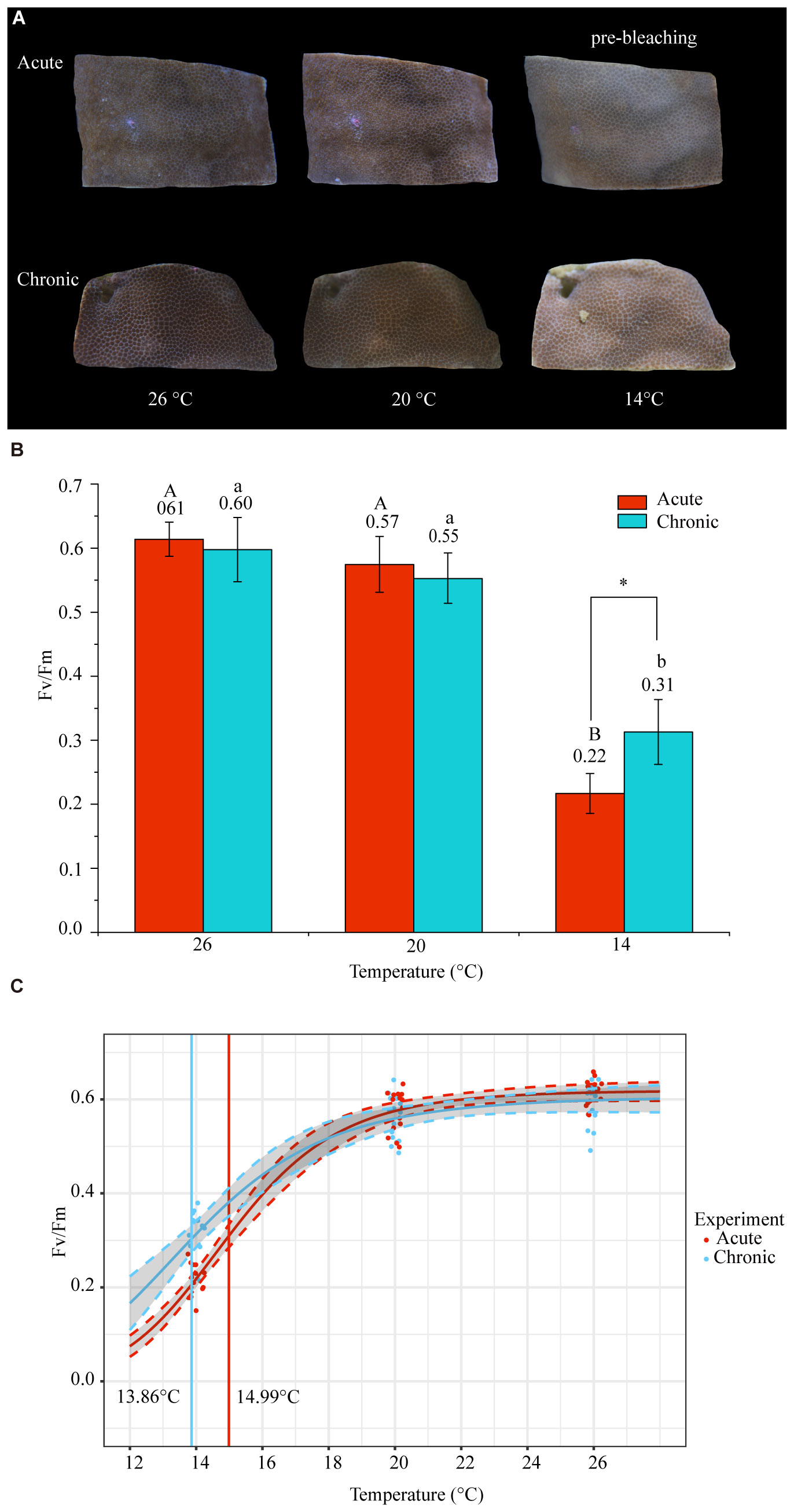 Frontiers The acute and chronic low temperature stress responses
