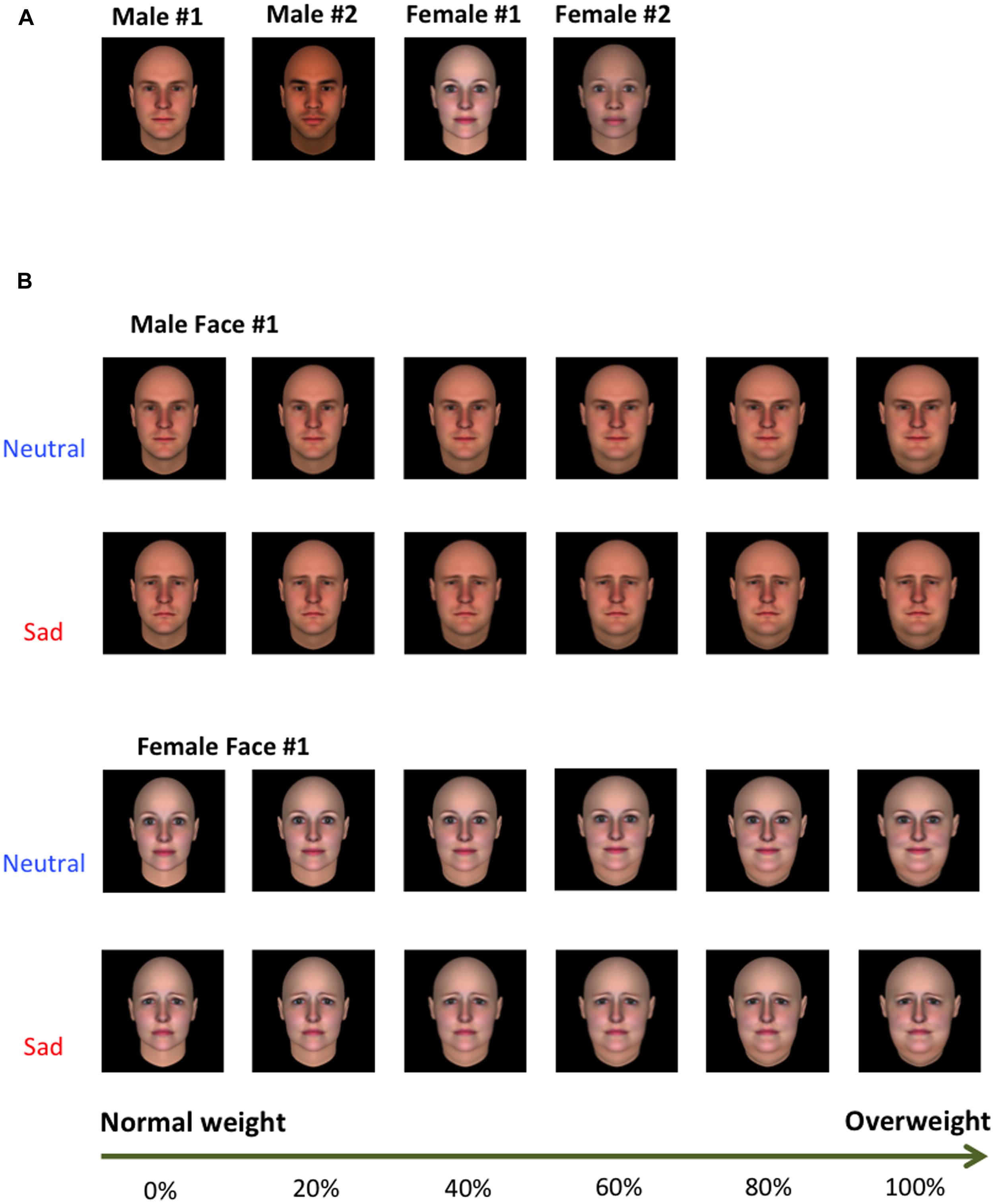Frontiers | The effect of sad facial expressions on weight ...