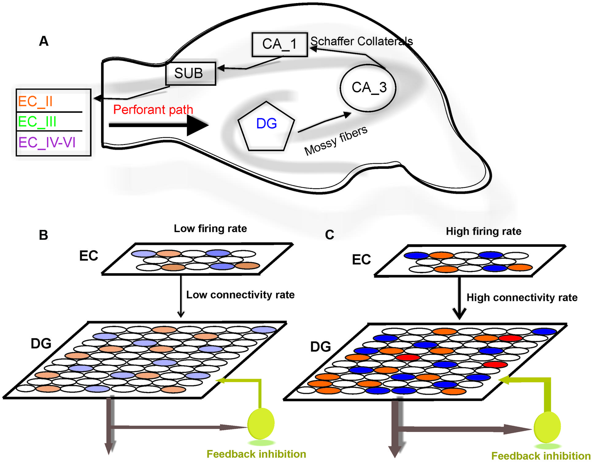 Frontiers | A computational model of pattern separation efficiency in the dentate gyrus with implications in schizophrenia Frontiers | A computational model of pattern separation efficiency in the dentate gyrus with implications in schizophrenia