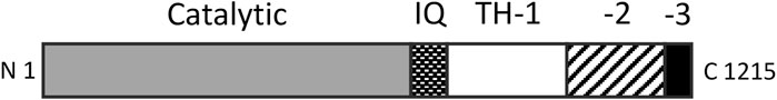 www.frontiersin.org