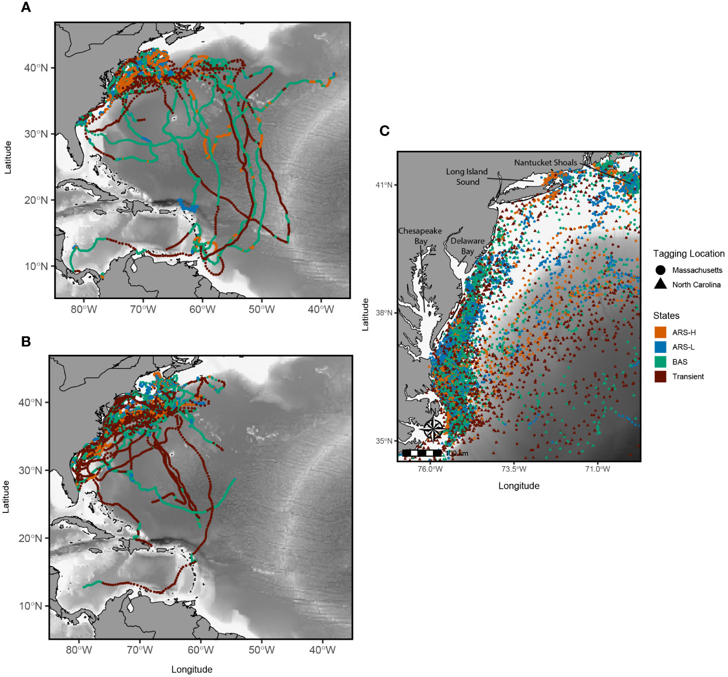 Frontiers | Where the leatherbacks roam: movement behavior analyses reveal  novel foraging locations along the Northwest Atlantic shelf