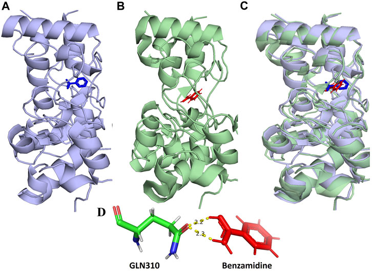 Frontiers  Computer-aided identification of Mycobacterium tuberculosis  resuscitation-promoting factor B (RpfB) inhibitors from Gymnema sylvestre  natural products