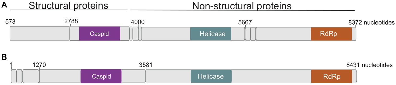www.frontiersin.org