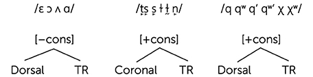 www.frontiersin.org