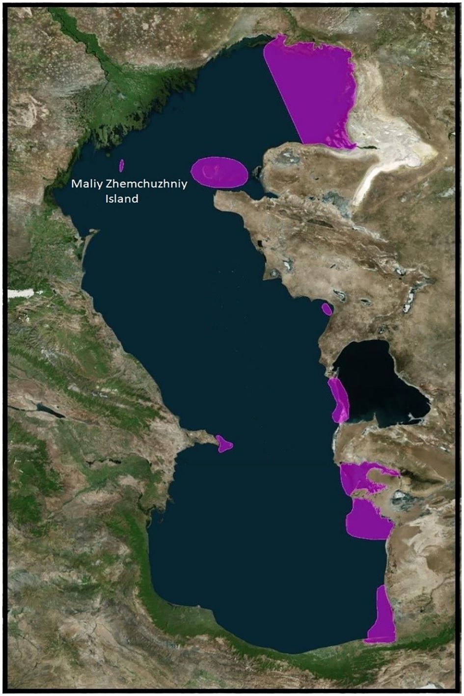 www.frontiersin.org