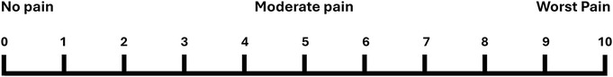 www.frontiersin.org
