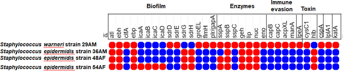 www.frontiersin.org
