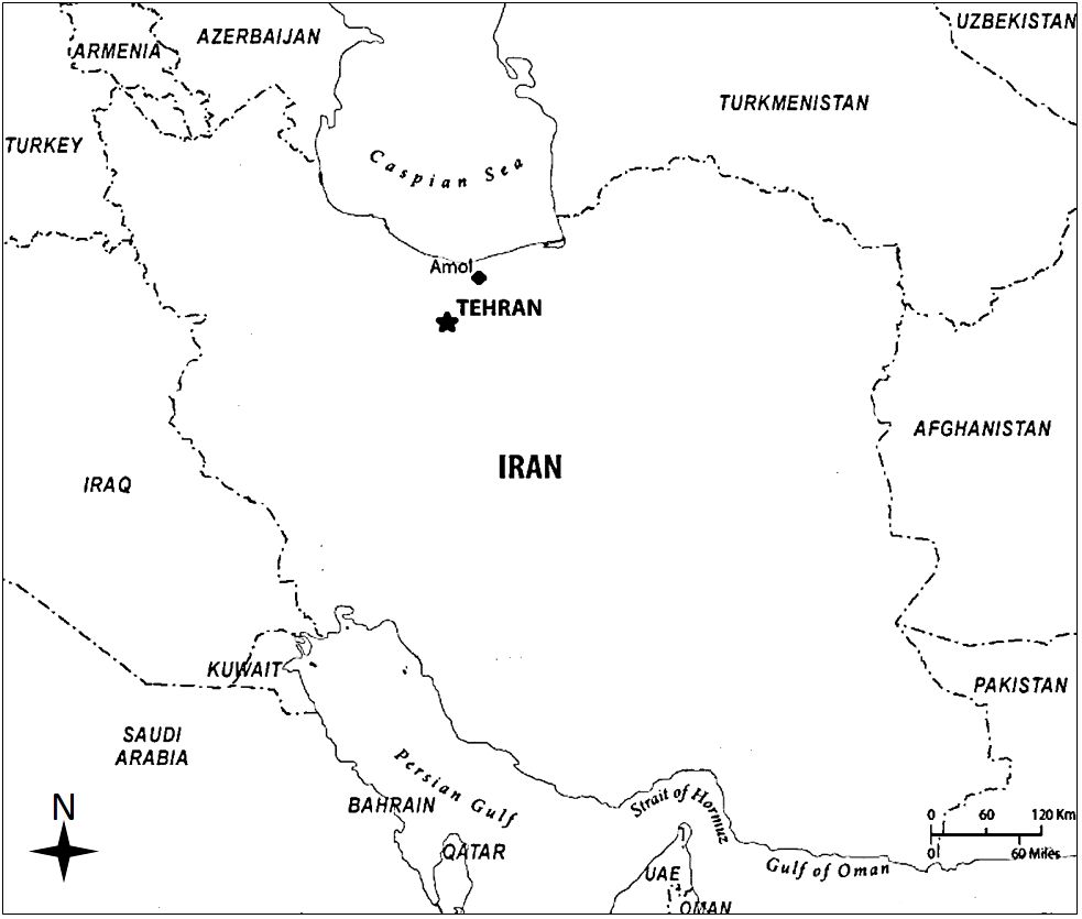 www.frontiersin.org