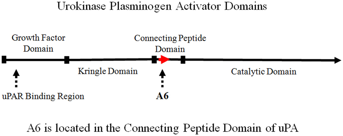 www.frontiersin.org