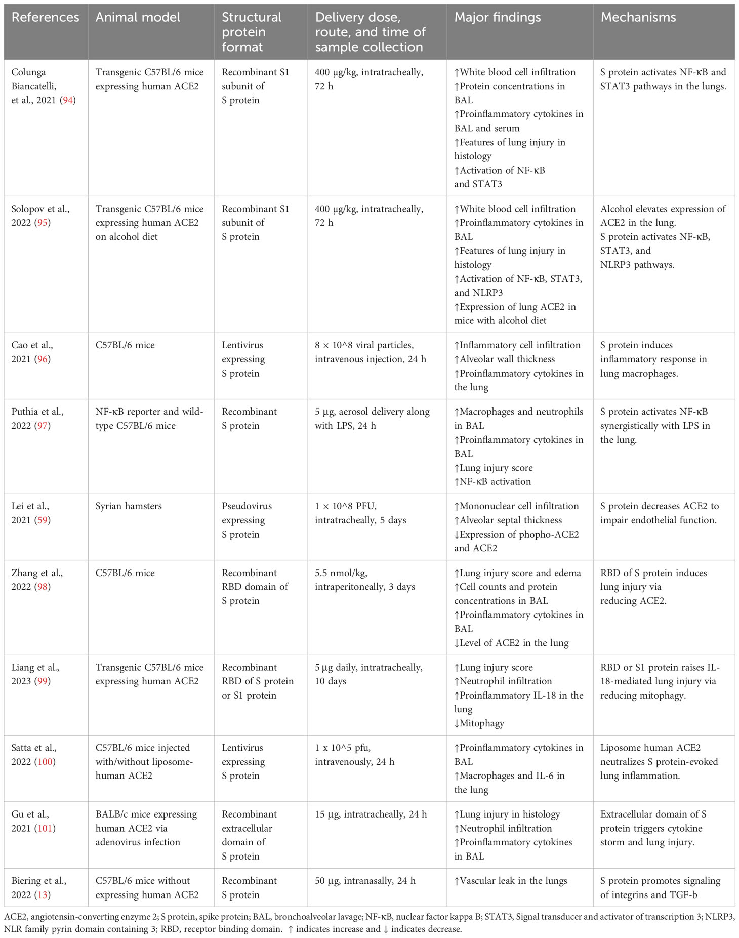 Frontiers  Multifaceted role of SARS-CoV-2 structural proteins in