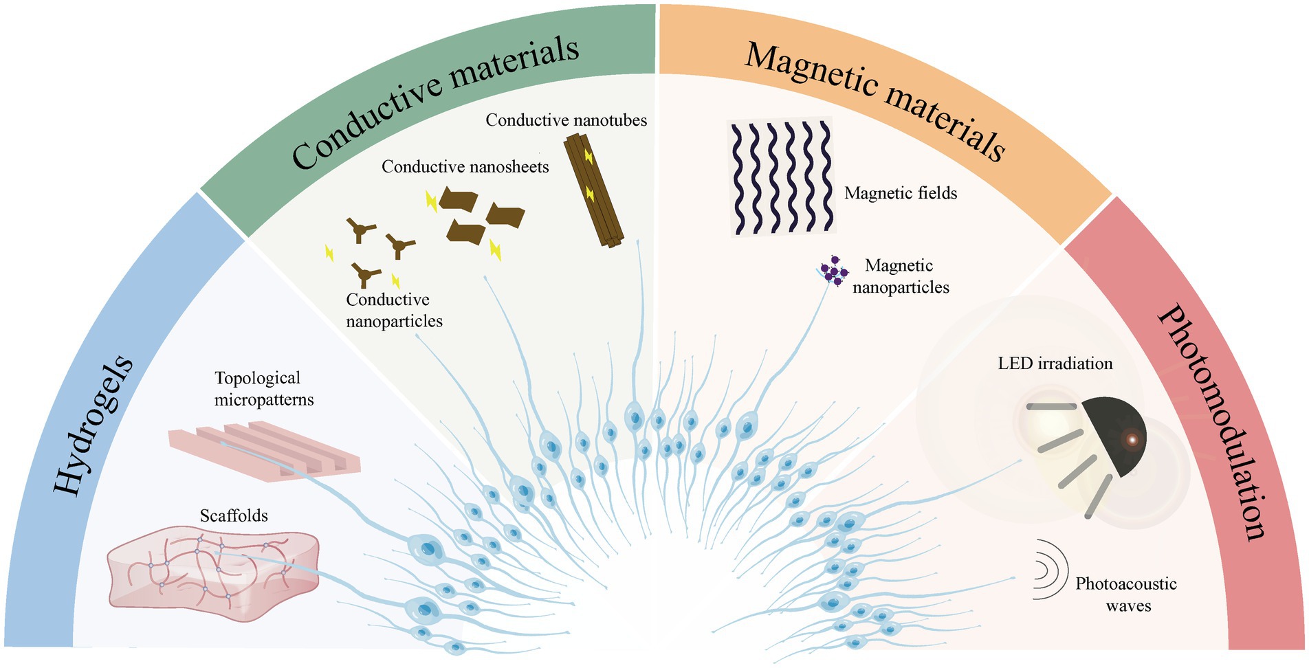 Frontiers Current advances in biomaterials for inner ear cell