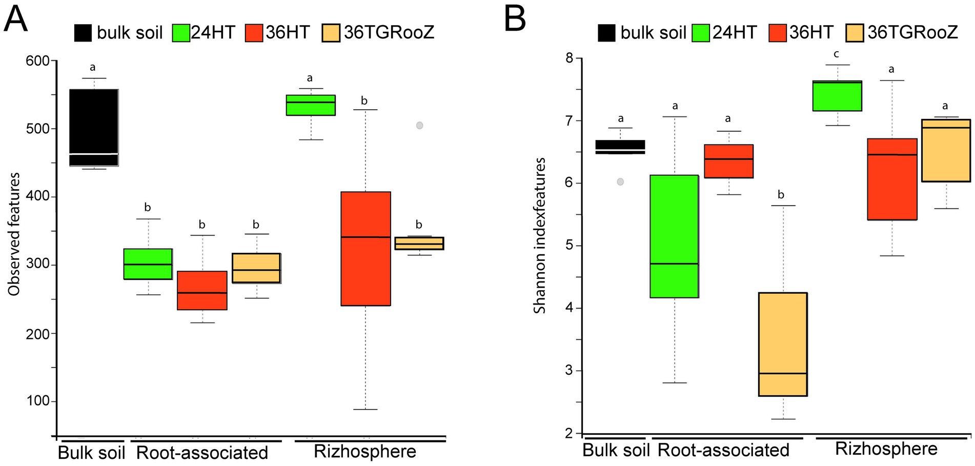 Box plots comparing microbial diversity across different samples and ltreatments. Panel A shows observed features for bulk soil, root-associated, and rhizosphere, with bulk soil having the highest diversity. Panel B displays Shannon index values for the same conditions, with variations among the groups. Color key: black for bulk soil, green for 24HT, red for 36HT, and beige for 36TGRooZ. Statistical significance is indicated by letters `a', `b', and `c' above the boxes.