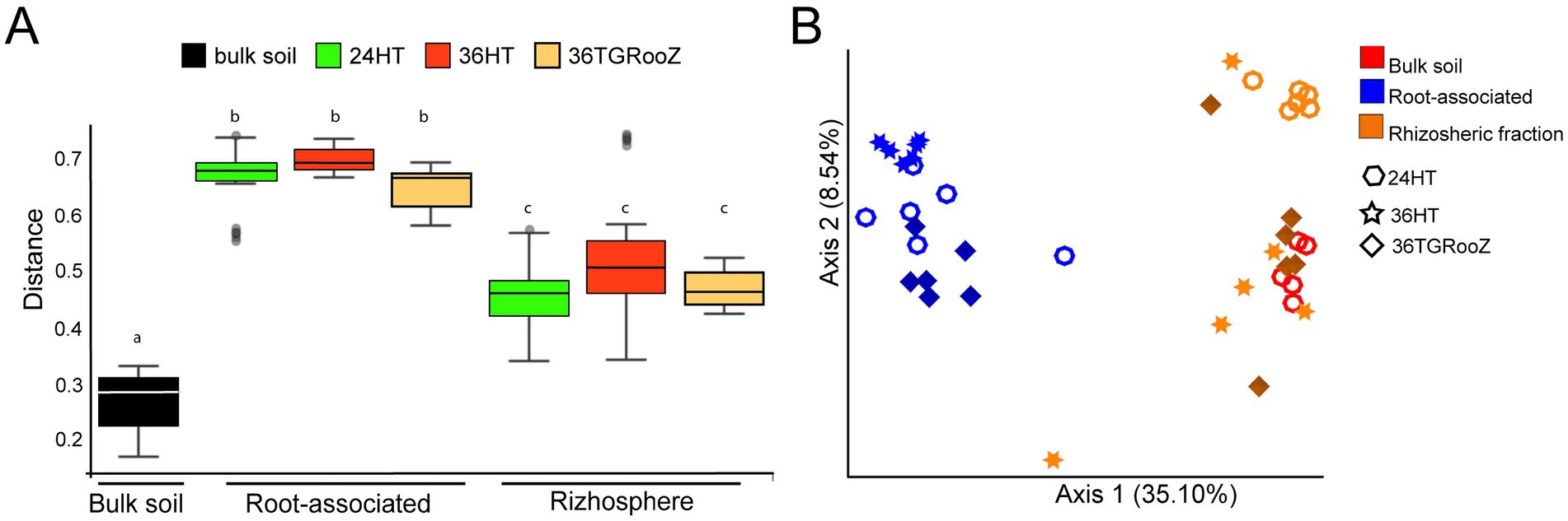 Panel A shows a bar chart comparing distance among different treatments and samples types: bulk soil (black), root-associated (green and orange), and rhizosphere (red and orange). Each group displays variations denoted by letters a, b, c. Panel B presents a scatter plot of different samples (bulk soil, root-associated, rhizospheric fraction and treatments), with symbols representing 24HT, 36HT, and 36TGRooZ. The plot is organized on axes labeled with percentages.