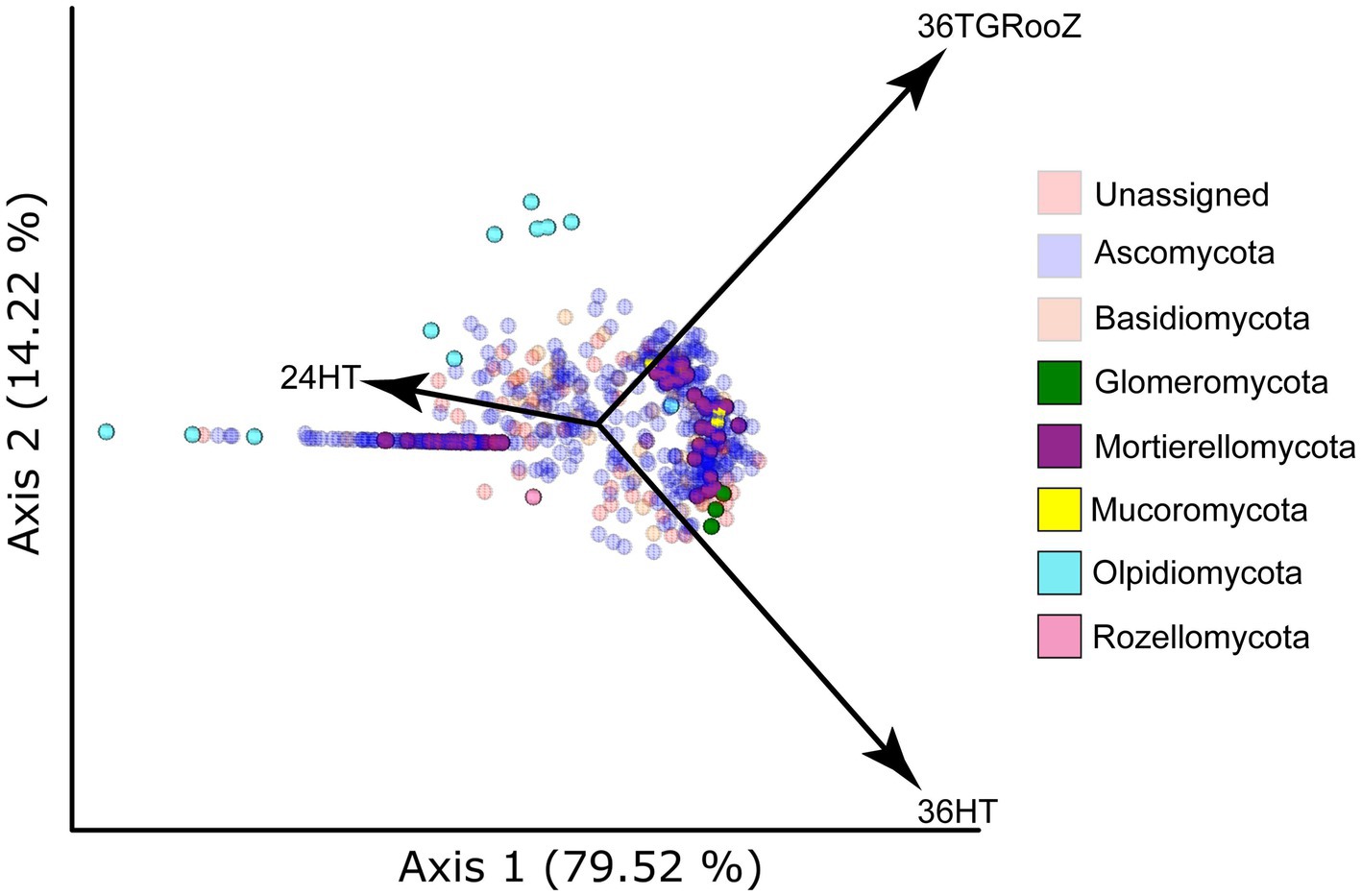 A scatter plot showing fungal diversity with points representing different fungal phyla: Ascomycota (purple), Basidiomycota (light orange), Glomeromycota (dark green), Mortierellomycota (violet), Mucoromycota (yellow), Olpidiomycota (light blue), Rozellomycota (pink), and unassigned (light pink). Two axes indicate data variation: Axis 1 with seventy-nine point fifty-two percent and Axis 2 with fourteen point twenty-two percent. Arrows labeled 24HT, 36HT, 36H, and 36TGRooZ highlight specific trends or directions.