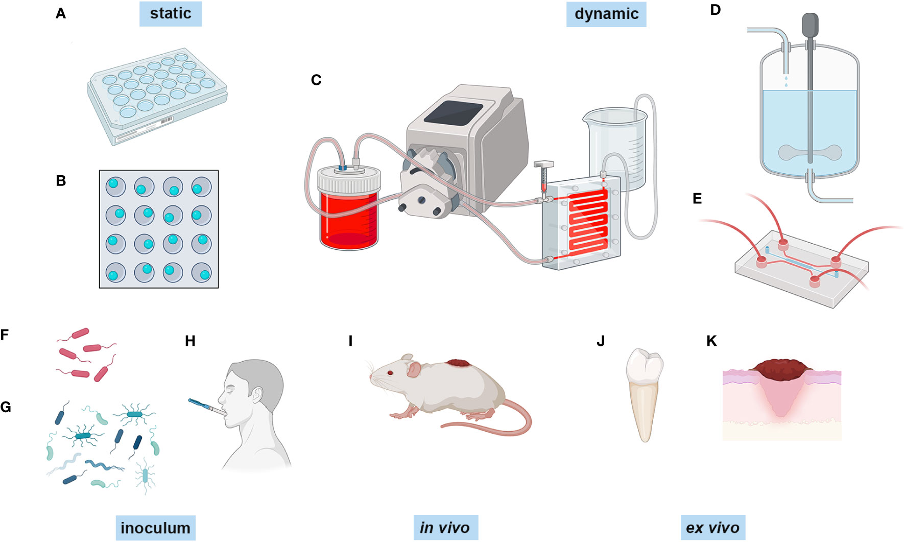 Water bottle Mouse/Rat Trap, Water bottle Mouse/Rat Trap, By Creative  King