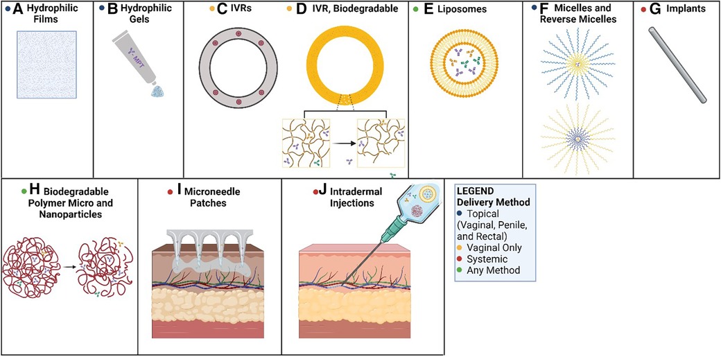 Frontiers  Innovations in monoclonal antibody-based multipurpose