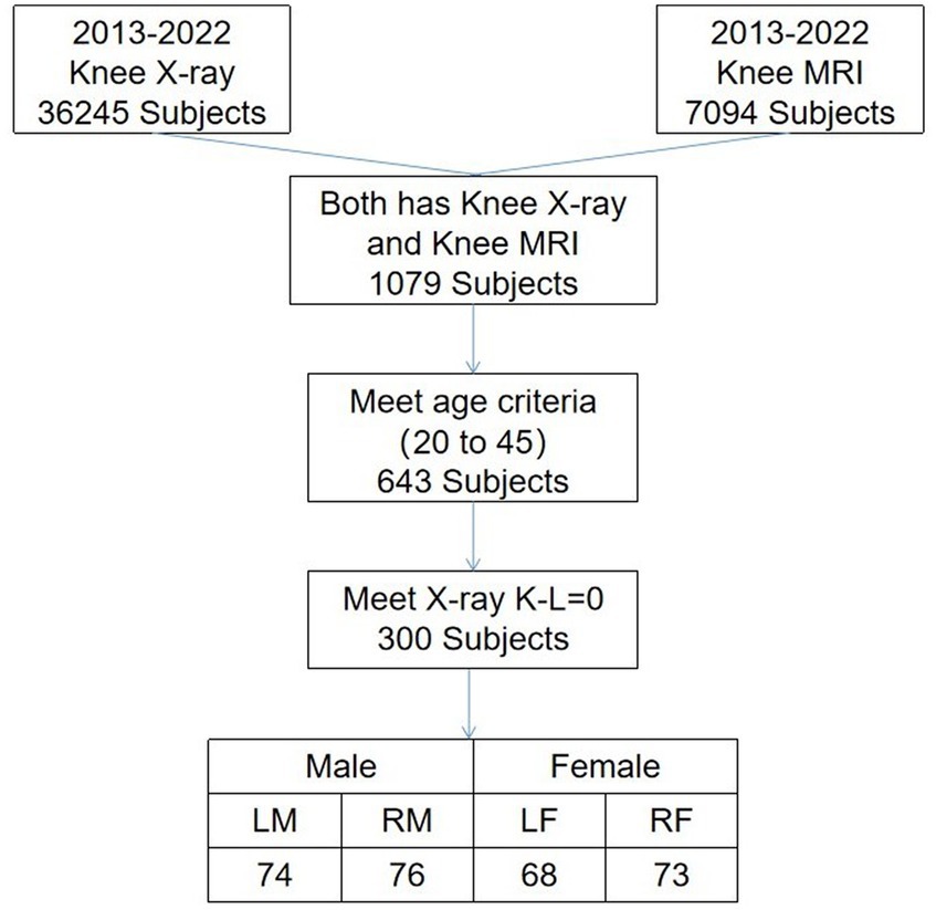 Frontiers Automated measurement and grading of knee cartilage