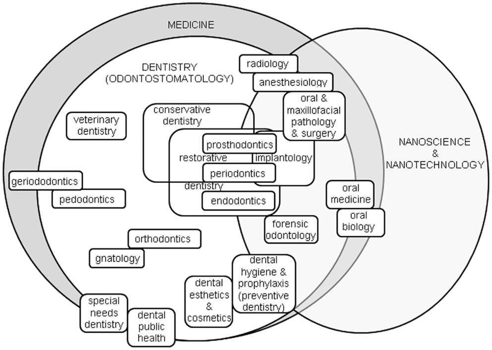 Implementation methods. AIG gnatology. Modern Dentistry Radiology.