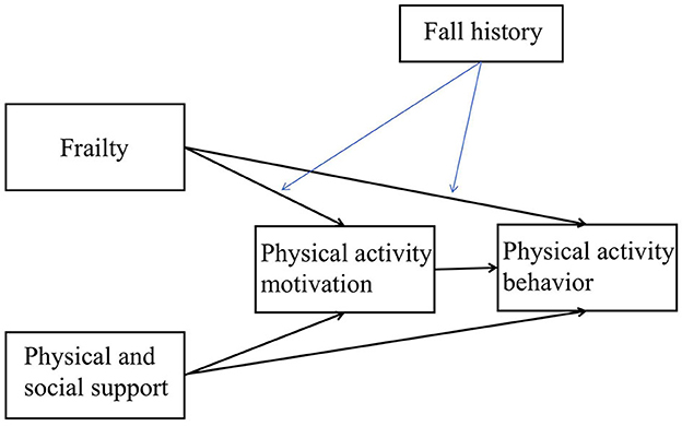 Can Structured Physical Activity Reduce the Risk of Mobility Disability  Among Frail Older Adults? - Public Citizen