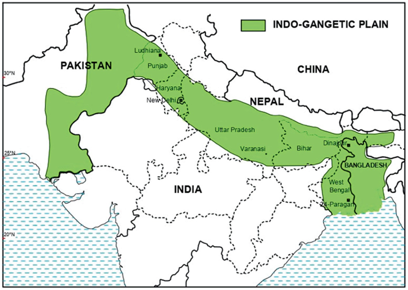 www.frontiersin.org