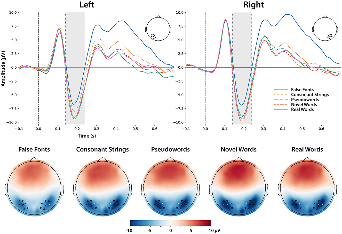 Ortho-semantic learning of novel words: an event-related potential study of grade 3 children