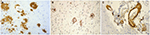 www.frontiersin.org