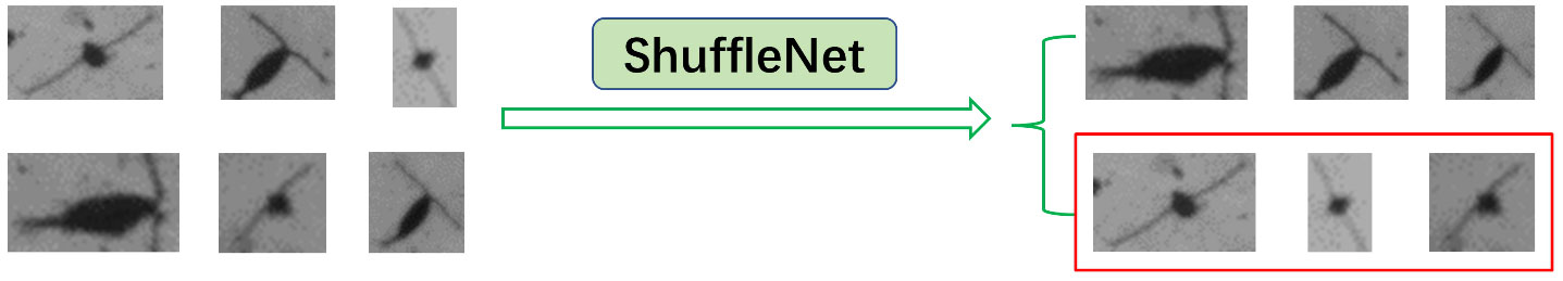 www.frontiersin.org