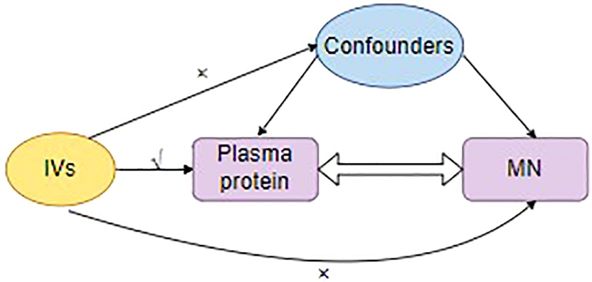 www.frontiersin.org