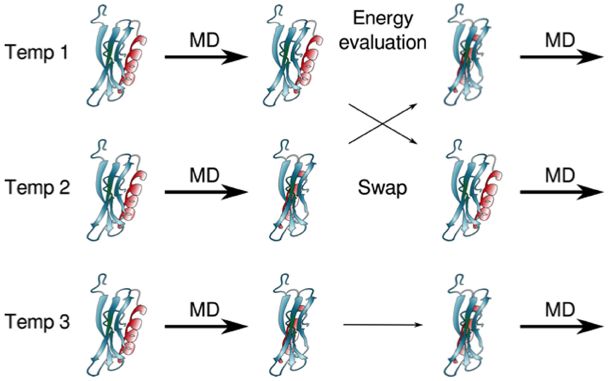 Frontiers | Information flow and protein dynamics: the interplay