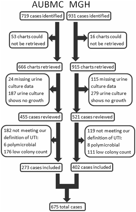 Frontiers - Epidemiology and characteristics of urinary tract infections in children and ...