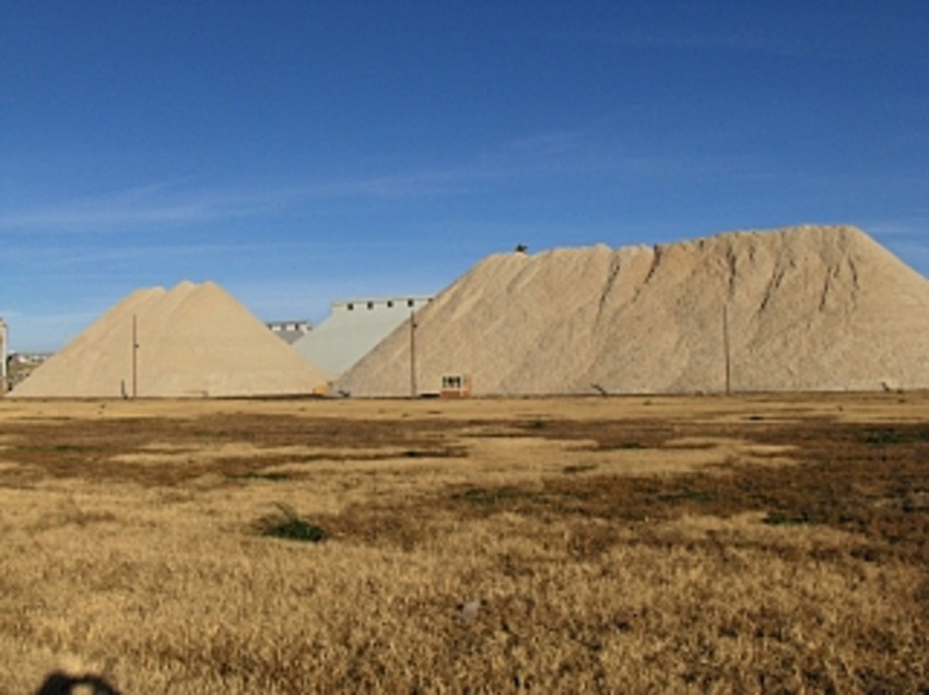 www.frontiersin.org