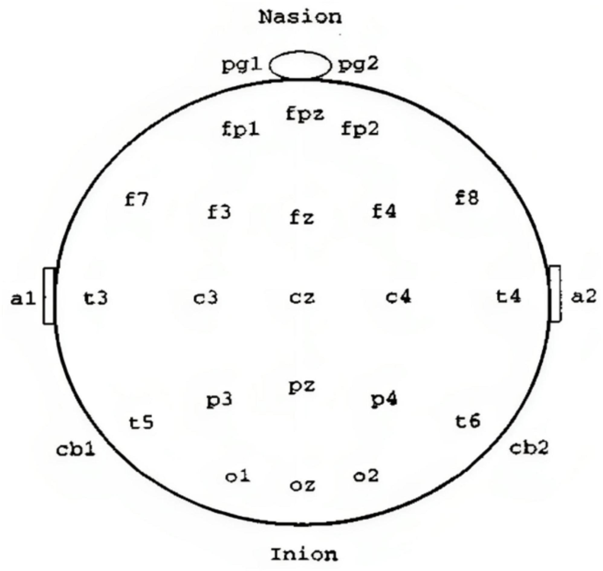 www.frontiersin.org