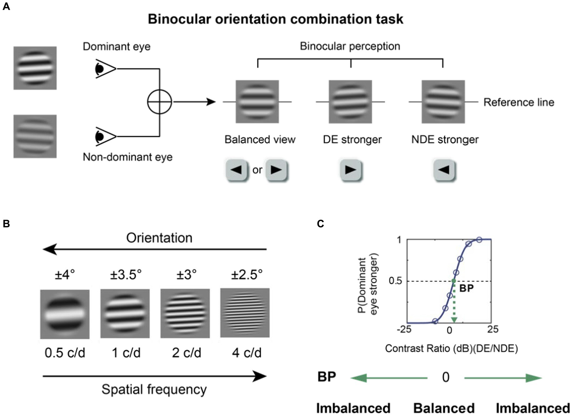 Frontiers Binocular balance across spatial frequency in anisomyopia