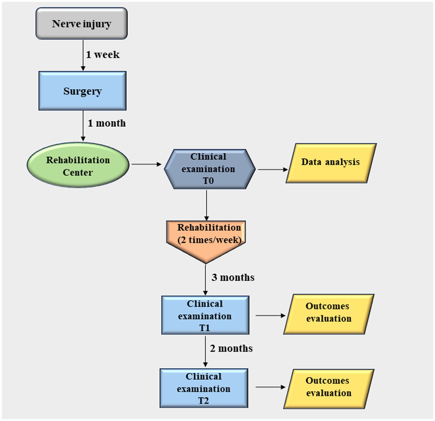 Frontiers  Early post-surgical rehabilitation and functional