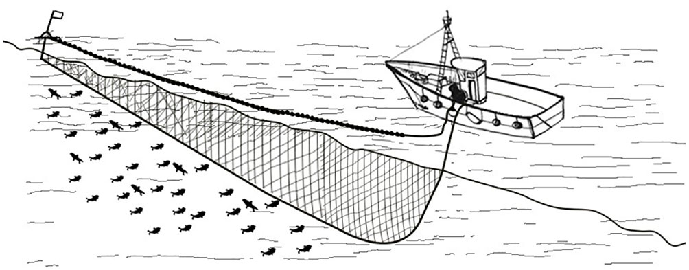 www.frontiersin.org
