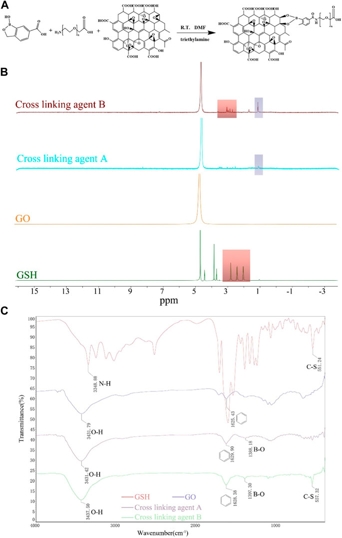 Frontiers  Double cross-linked graphene oxide hydrogel for