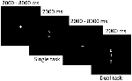 www.frontiersin.org