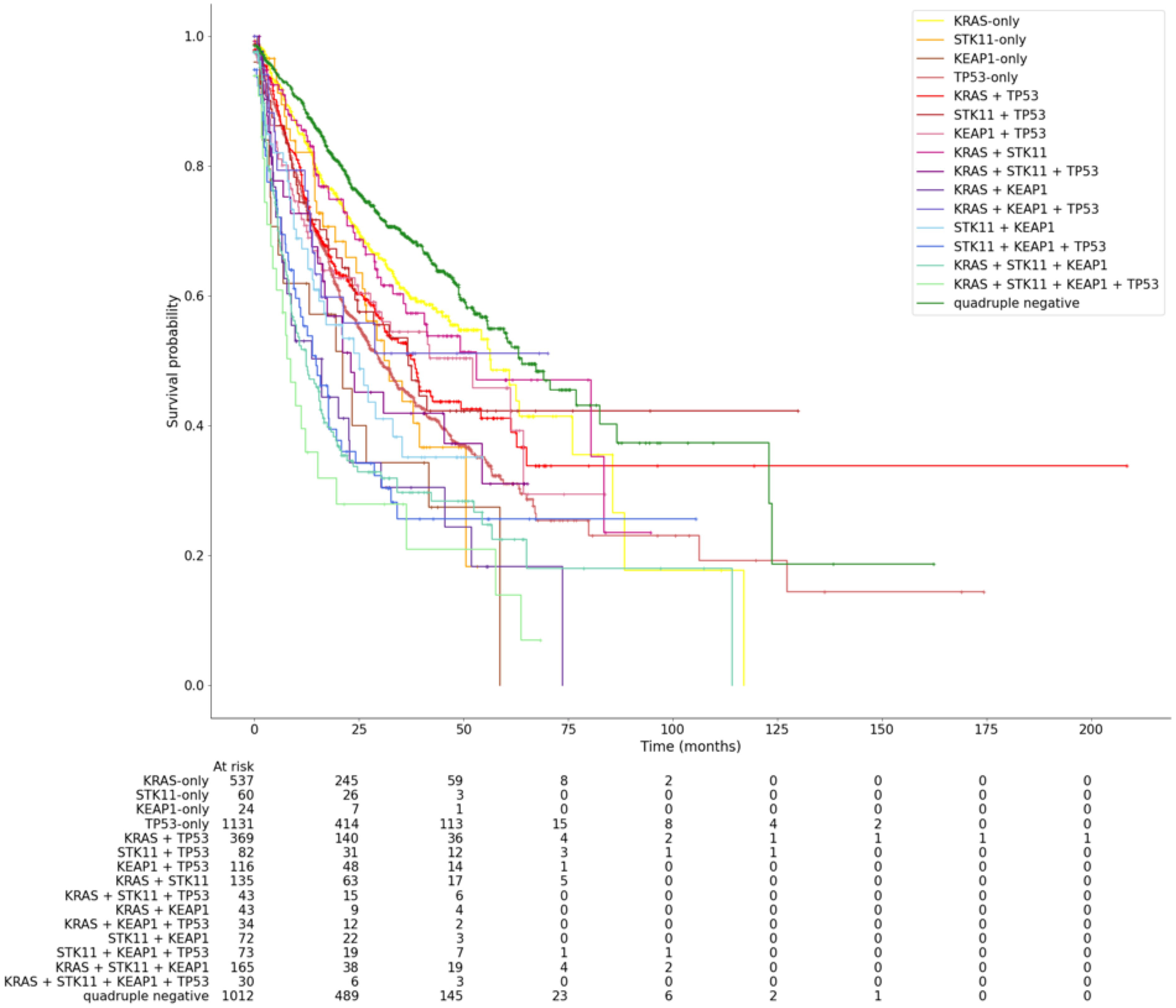 Frontiers | TP53 co-mutations in advanced lung adenocarcinoma ...