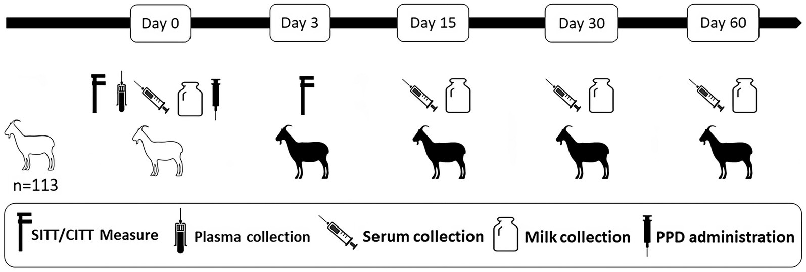 www.frontiersin.org