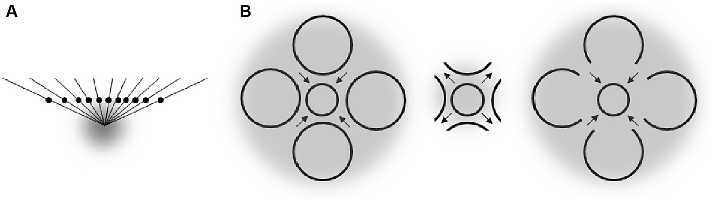 www.frontiersin.org
