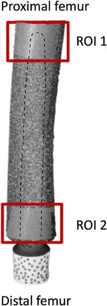 www.frontiersin.org