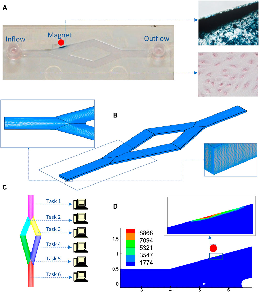 Nanoparticle Enables Cheap and Easy Test for Blood Clots - IEEE Spectrum