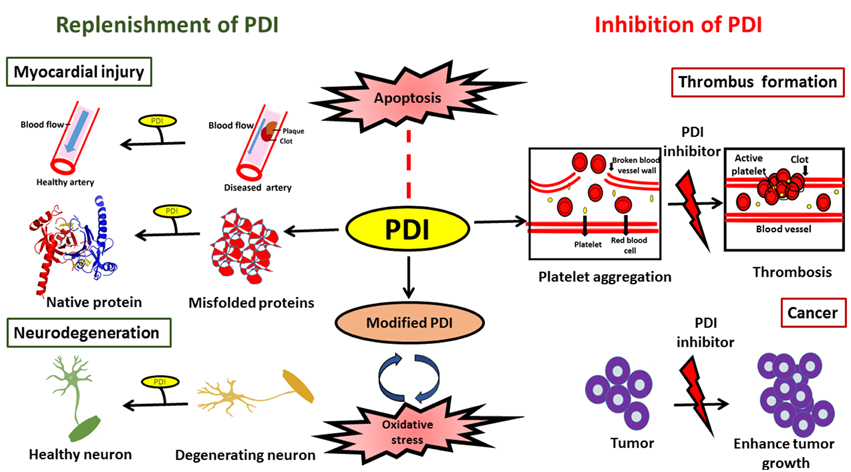 pdf bacterial