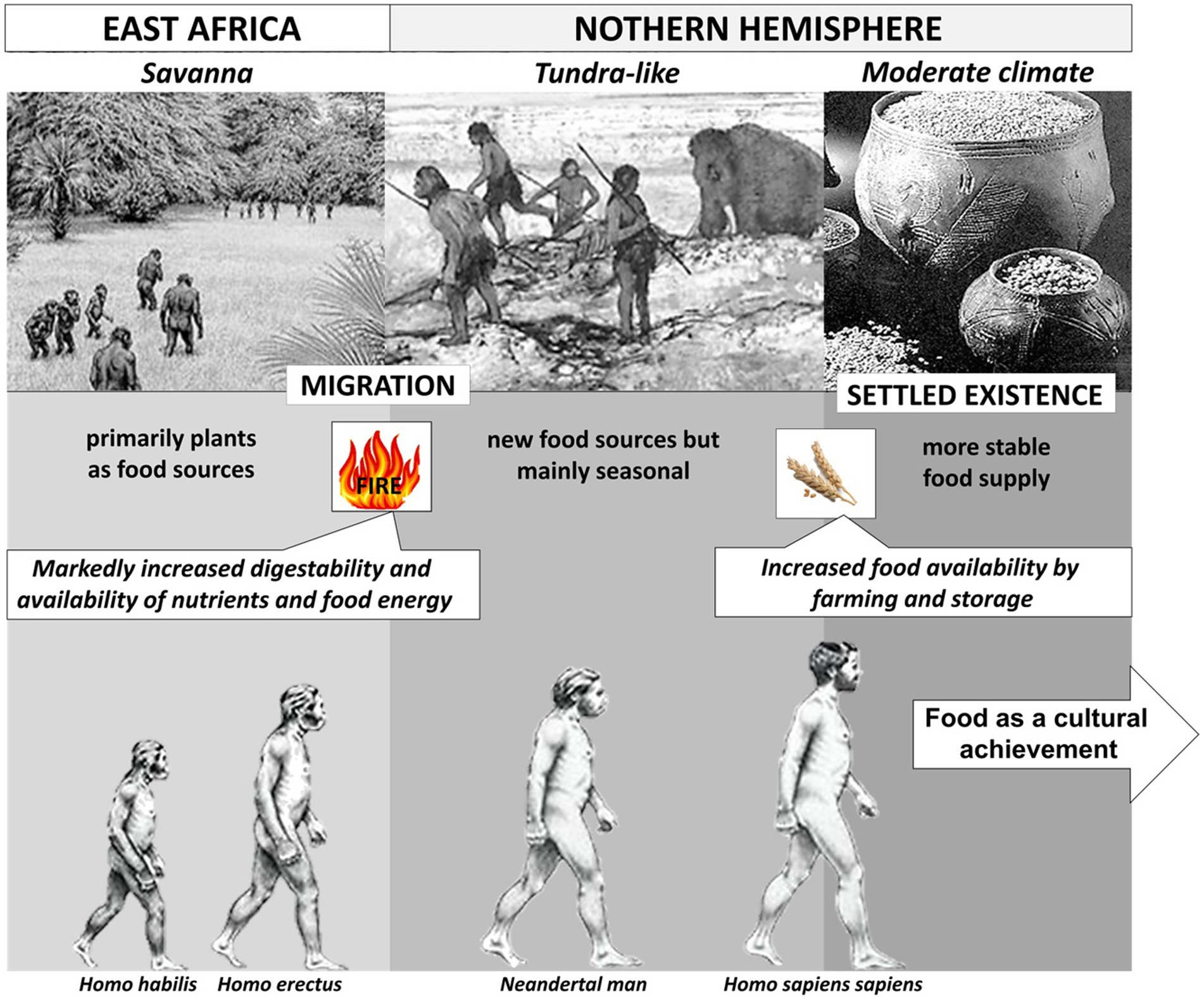 www.frontiersin.org