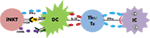 www.frontiersin.org