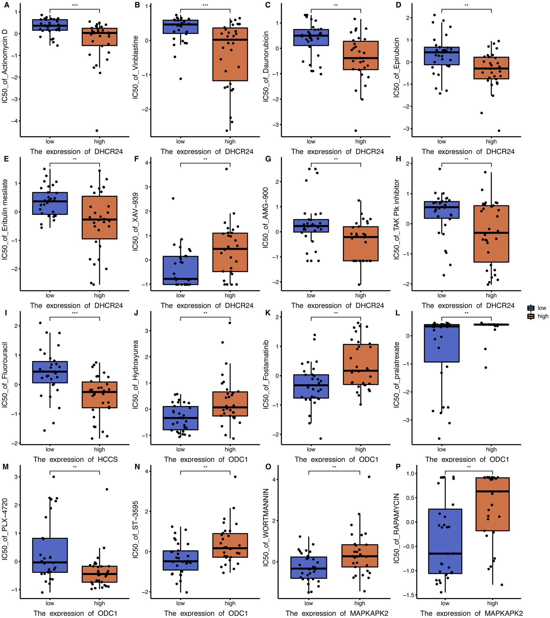 Box plots comparing the IC50 values of various drugs related to DHCR24, HCCS, ODC1, and MAPKAPK2 expressions, with blue boxes for low expression and orange boxes for high expression. Statistically significant differences are marked with asterisks.