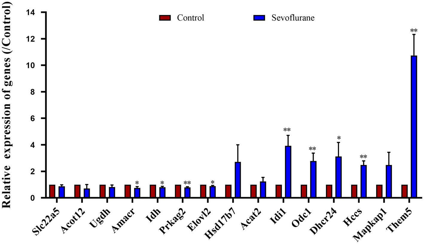 Bar chart showing relative gene expression levels for Control (red) and Sevoflurane (blue) across various genes. Sevoflurane shows increased expression in Idl1, Dhcr24, and particularly Them5, with statistical significance indicated by asterisks.