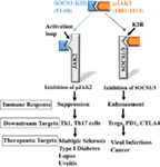 www.frontiersin.org