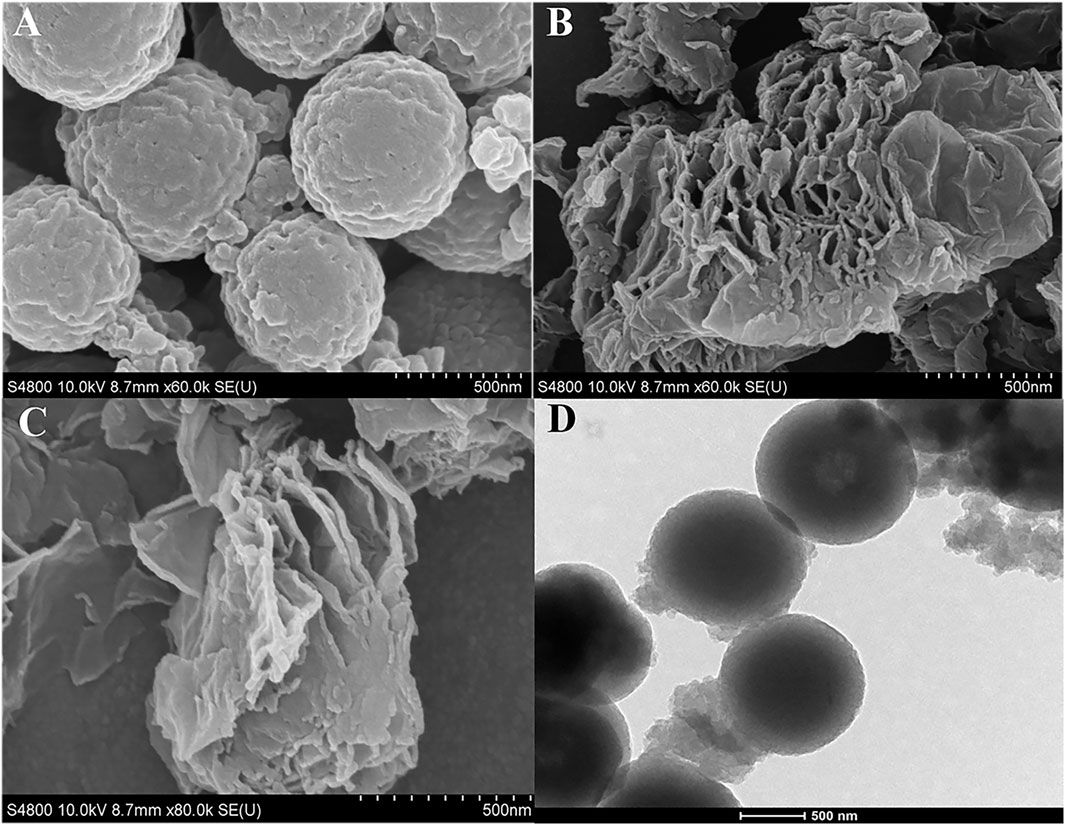 Frontiers | Rapid, simple, and simultaneous electrochemical