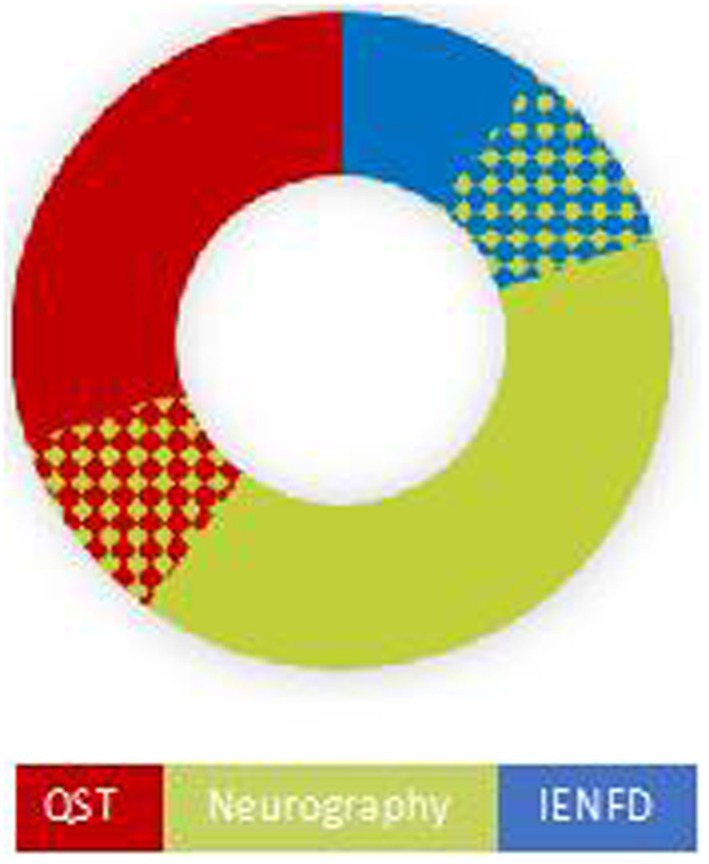 www.frontiersin.org
